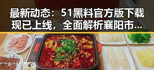 最新动态：51黑料官方版下载现已上线，全面解析襄阳市的相关资讯
