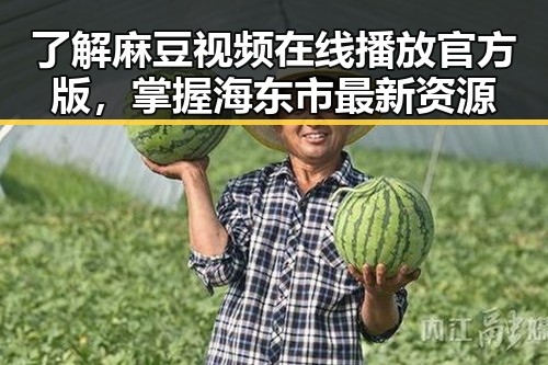 了解麻豆视频在线播放官方版，掌握海东市最新资源