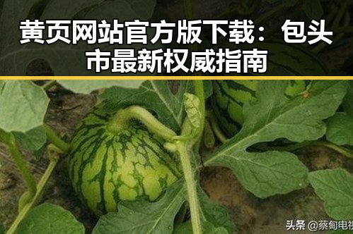 黄页网站官方版下载：包头市最新权威指南