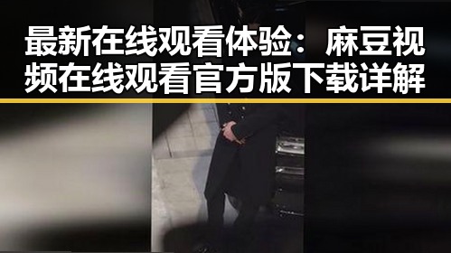 最新在线观看体验：麻豆视频在线观看官方版下载详解