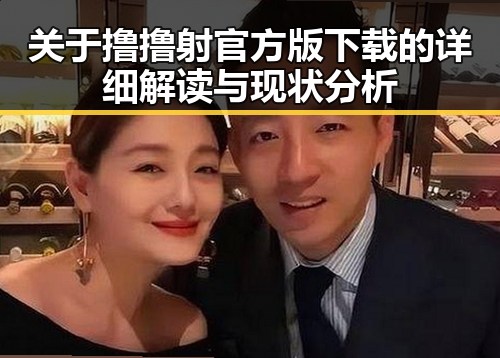 关于撸撸射官方版下载的详细解读与现状分析