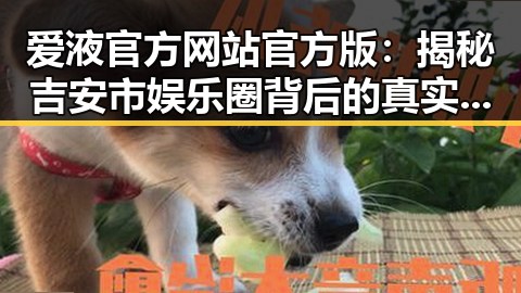 爱液官方网站官方版：揭秘吉安市娱乐圈背后的真实故事