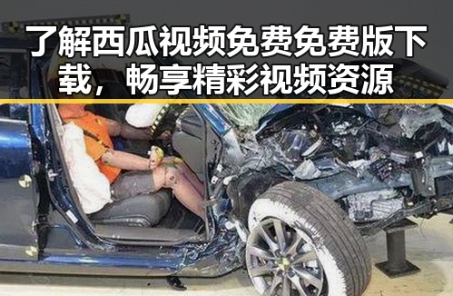 了解西瓜视频免费免费版下载，畅享精彩视频资源