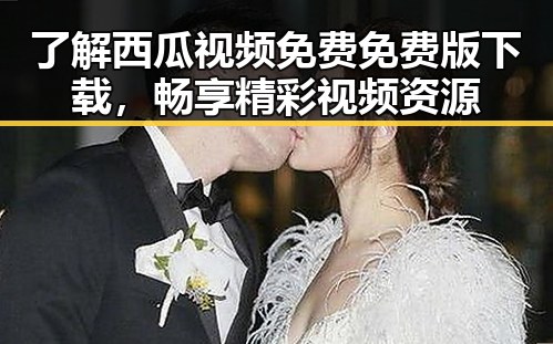 了解西瓜视频免费免费版下载，畅享精彩视频资源