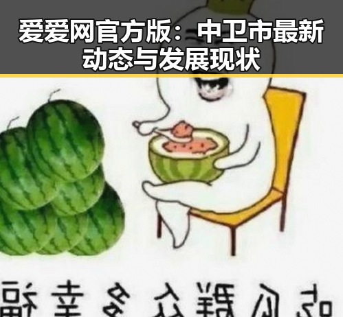 爱爱网官方版：中卫市最新动态与发展现状