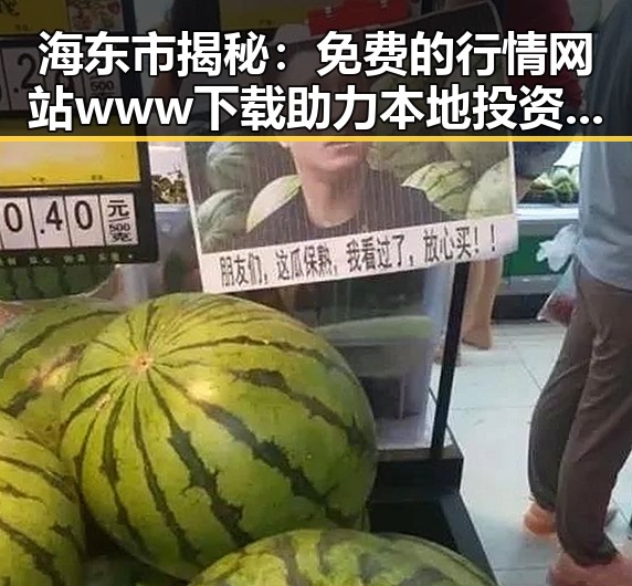 海东市揭秘：免费的行情网站www下载助力本地投资者