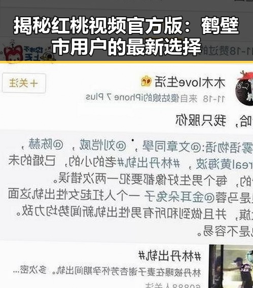 揭秘红桃视频官方版：鹤壁市用户的最新选择