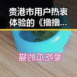 贵港市用户热衷体验的《撸撸射官方版》现已成为焦点
