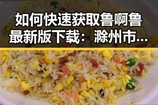 如何快速获取鲁啊鲁最新版下载：滁州市用户指南