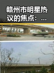 赣州市明星热议的焦点:黄色91官方版引发关注