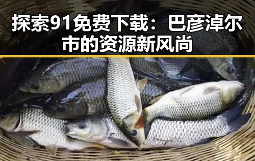 探索91免费下载：巴彦淖尔市的资源新风尚