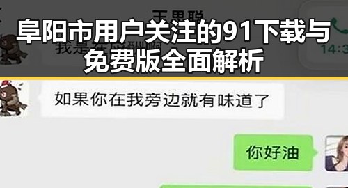 阜阳市用户关注的91下载与免费版全面解析