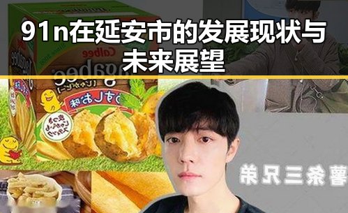 91n在延安市的发展现状与未来展望