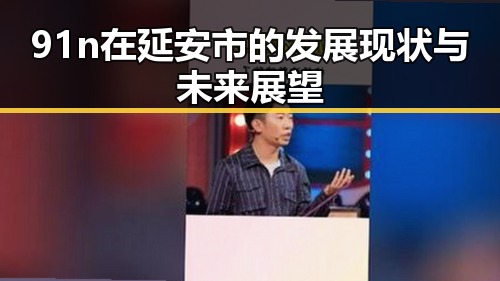 91n在延安市的发展现状与未来展望