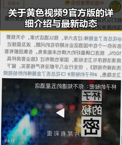 关于黄色视频9官方版的详细介绍与最新动态