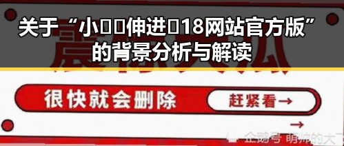 关于“小🐔🐔伸进🈲18网站官方版”的背景分析与解读