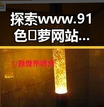 探索www.91色😍萝网站官方版免费版的魅力与特色