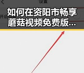 如何在资阳市畅享蘑菇视频免费版的精彩内容