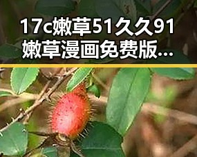 17c嫩草51久久91嫩草漫画免费版：最新内容解析与合法性探讨
