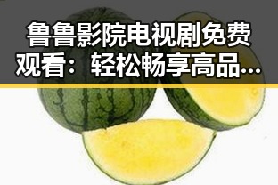 鲁鲁影院电视剧免费观看：轻松畅享高品质剧集攻略
