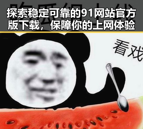 探索稳定可靠的91网站官方版下载，保障你的上网体验