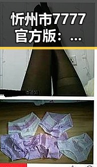 忻州市7777官方版：最新动态与应用解析
