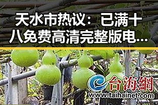 天水市热议：已满十八免费高清完整版电视剧官方版引发讨论