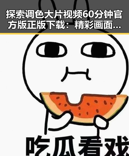 探索调色大片视频60分钟官方版正版下载：精彩画面尽在其中