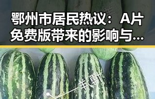 鄂州市居民热议：A片免费版带来的影响与现状