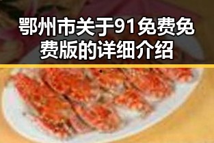鄂州市关于91免费免费版的详细介绍