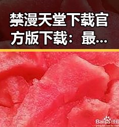 禁漫天堂下载官方版下载：最新资源指南解析