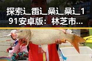 探索辶臿辶喿辶喿辶191安卓版：林芝市的全新体验