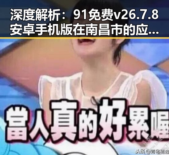 深度解析：91免费v26.7.8 安卓手机版在南昌市的应用与发展