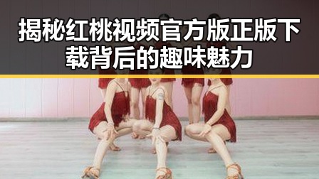 揭秘红桃视频官方版正版下载背后的趣味魅力