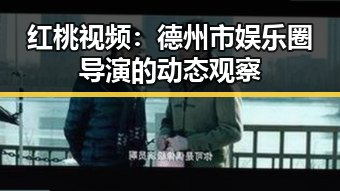 红桃视频：德州市娱乐圈导演的动态观察