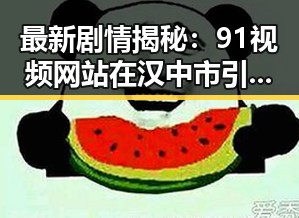 最新剧情揭秘：91视频网站在汉中市引发热议