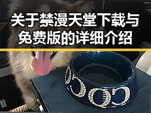 关于禁漫天堂下载与免费版的详细介绍