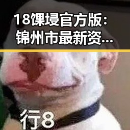 18馃埐官方版：锦州市最新资讯全面解析