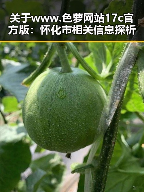 关于www.色 萝网站17c官方版:怀化市相关信息探析