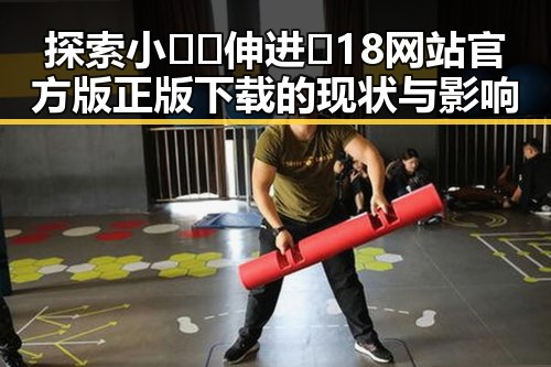 探索小🐔🐔伸进🈲18网站官方版正版下载的现状与影响