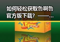 如何轻松获取鲁啊鲁官方版下载？——淮安市用户指南