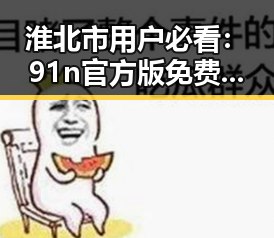 淮北市用户必看：91n官方版免费版完整体验指南