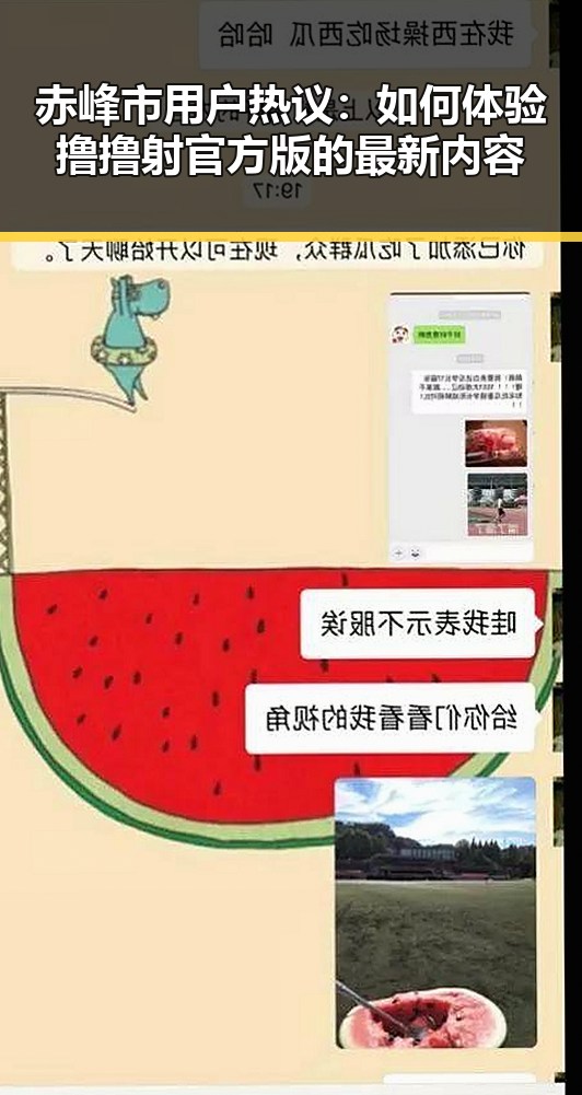 赤峰市用户热议：如何体验撸撸射官方版的最新内容