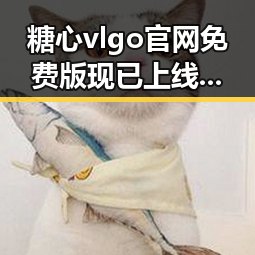 糖心vlgo官网免费版现已上线 引领娱乐资源新体验