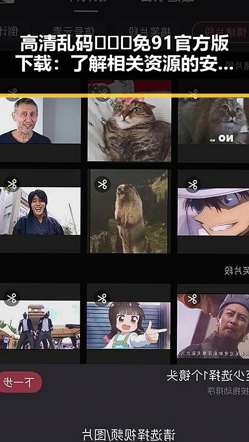 高清乱码🔞❌♋免91官方版下载：了解相关资源的安全性与风险