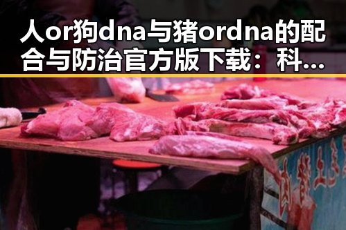 人or狗dna与猪ordna的配合与防治官方版下载：科技在动物遗传中的新动态