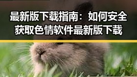 最新版下载指南：如何安全获取色情软件最新版下载