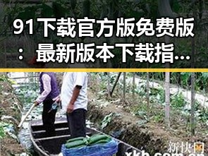 91下载官方版免费版：最新版本下载指南和使用体验