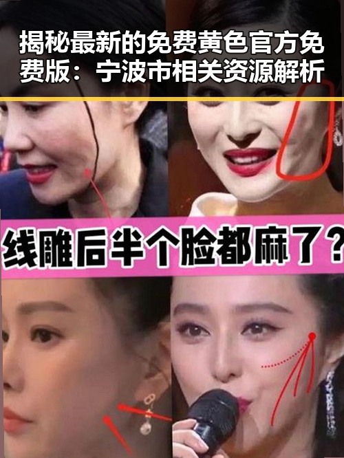 揭秘最新的免费黄色官方免费版：宁波市相关资源解析