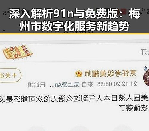深入解析91n与免费版：梅州市数字化服务新趋势